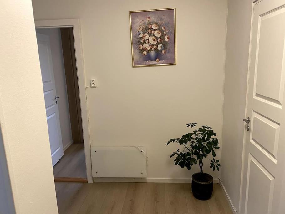 Lovely 2 Bedroom Apartmen With Free Parking Bergen Exterior photo